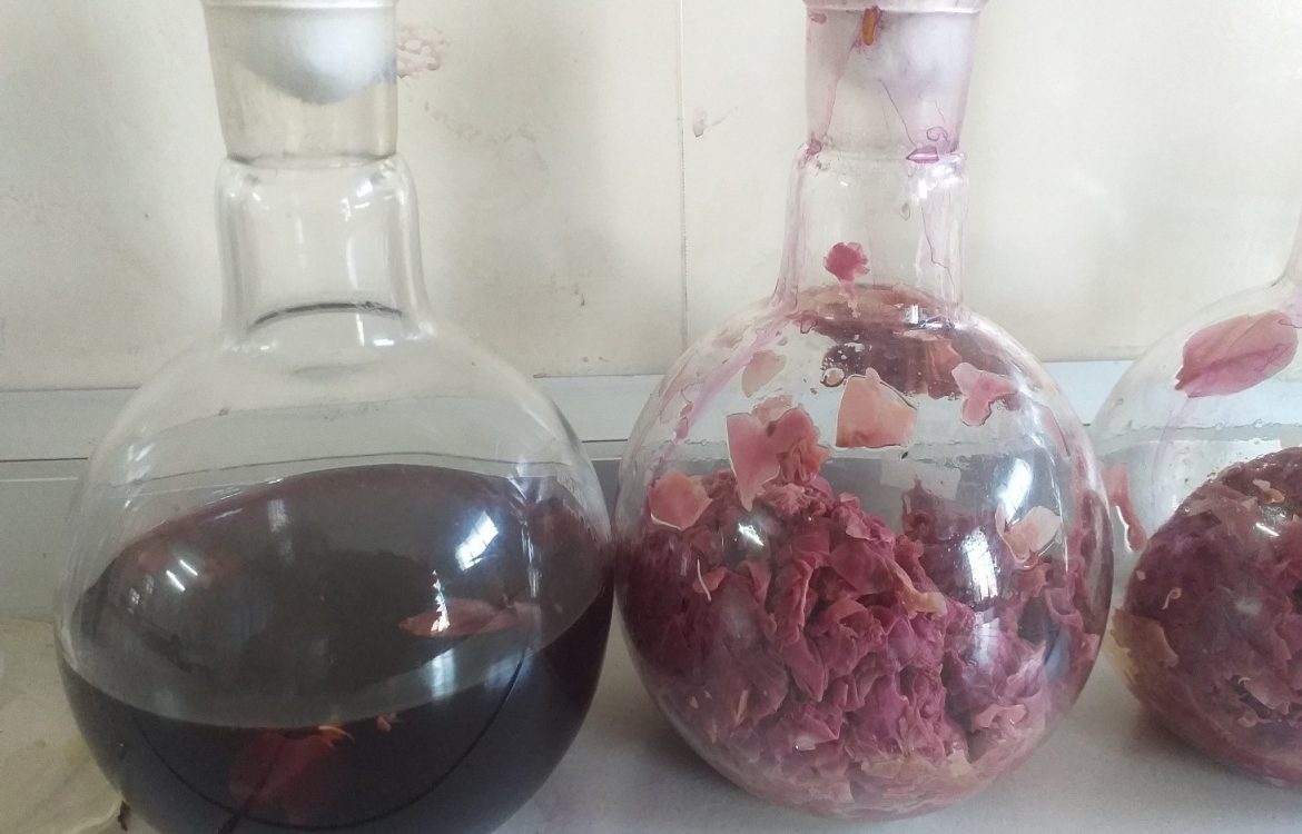 BIOCOLORANT from Floral Waste