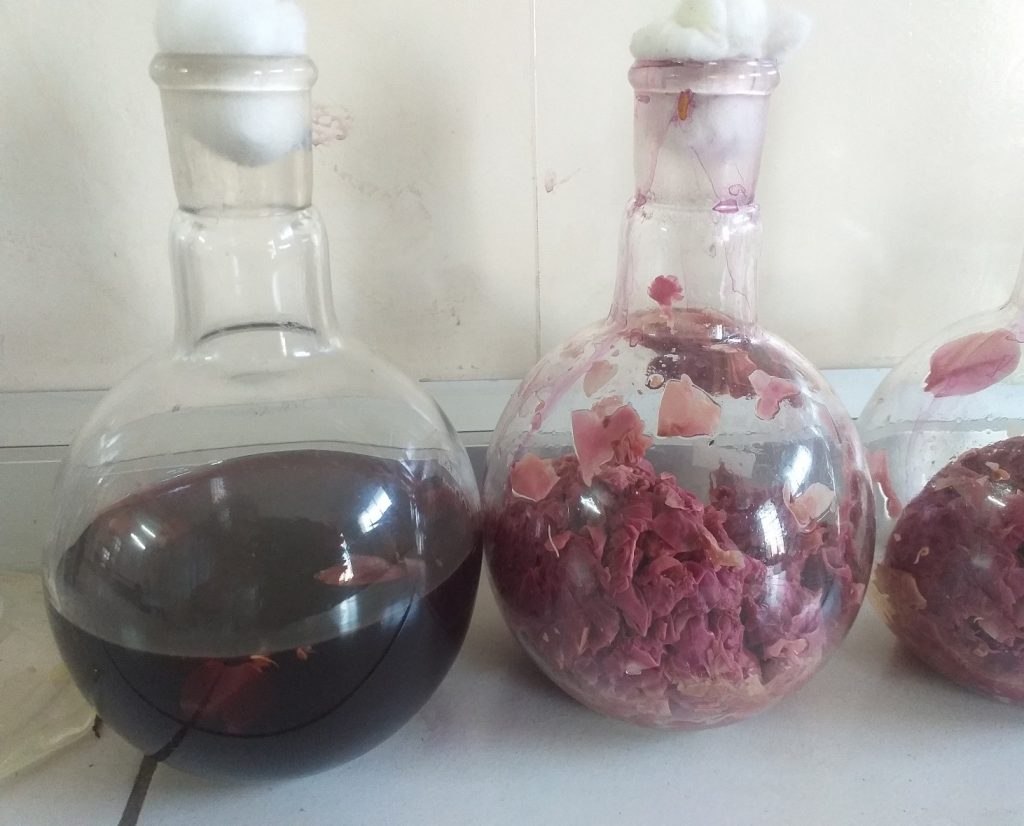 BIOCOLORANT from Floral Waste
