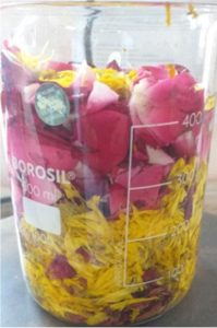 Herbal Colors from Floral Waste
