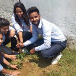 Plantation Program