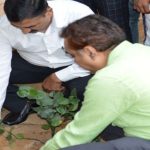 Plantation Program