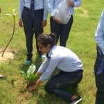 Plantation Program