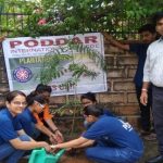 Plantation Program