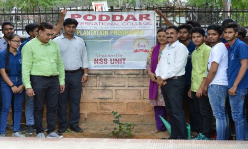 Plantation Program