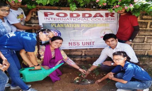 Plantation Program