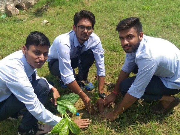 Plantation Program