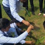 Plantation Program