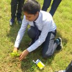 Plantation Program