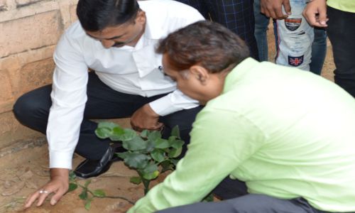 Plantation Program