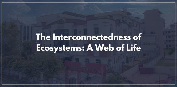 The Interconnectedness of Ecosystems A Web of Life
