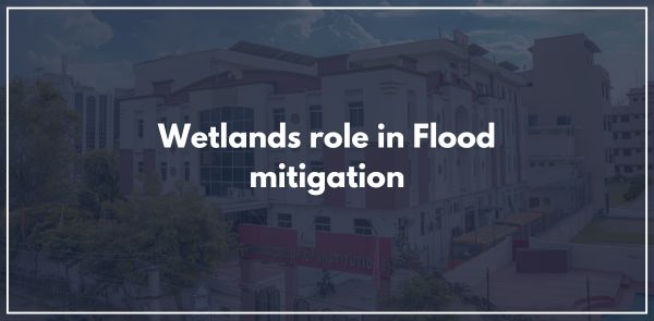 Wetlands role in Flood mitigation