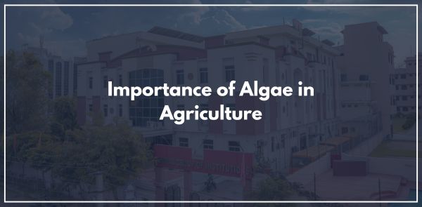 Importance of Algae in Agriculture