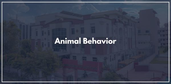 Animal Behaviour