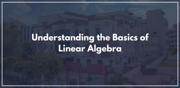 Understanding the Basics of Linear Algebra