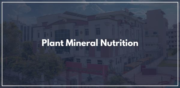 Plant Mineral Nutrition
