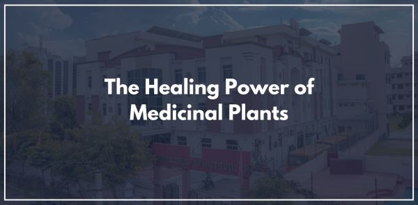 The Healing Power of Medicinal Plants