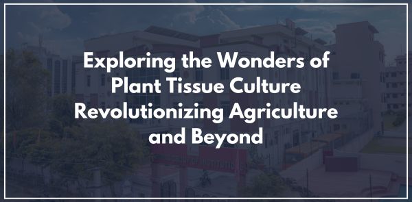 Exploring the Wonders of Plant Tissue Culture: Revolutionizing Agriculture and Beyond