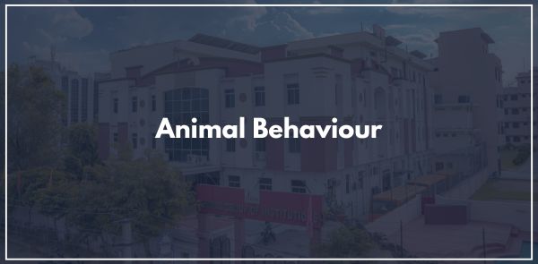 Animal Behaviour