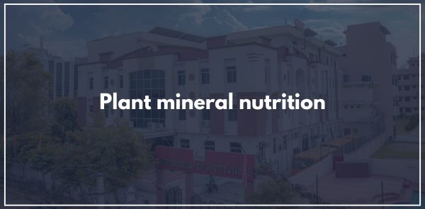 Plant mineral nutrition