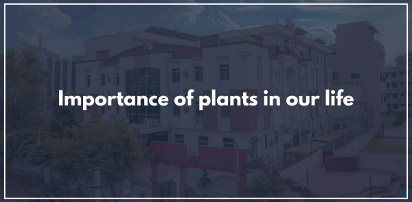 Importance of plants in our life