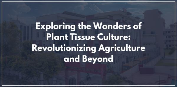 Exploring the Wonders of Plant Tissue Culture Revolutionizing Agriculture and Beyond