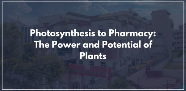 Photosynthesis to Pharmacy: The Power and Potential of Plants