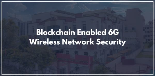 Blockchain Enabled 6G Wireless Network Security