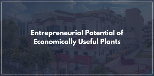 Entrepreneurial Potential of Economically Useful Plants