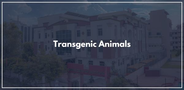 Transgenic Animals