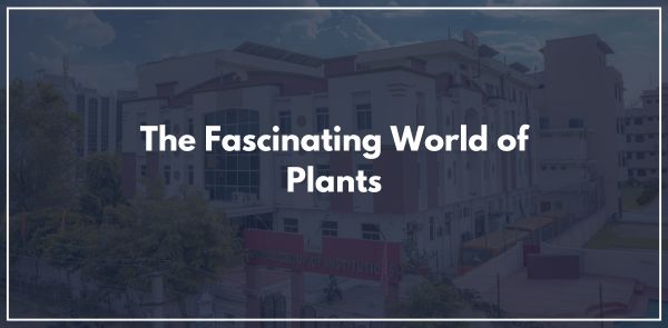 The Fascinating World of Plants