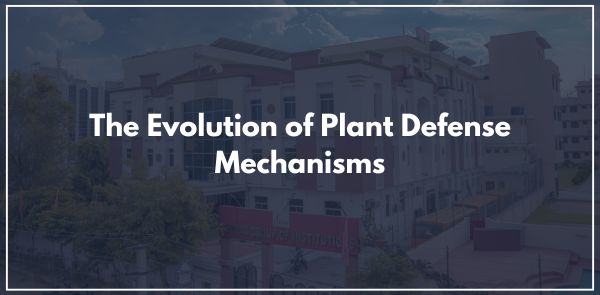 The Evolution of Plant Defense Mechanisms